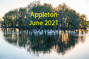Appleton June 2021 Photo Slide Show