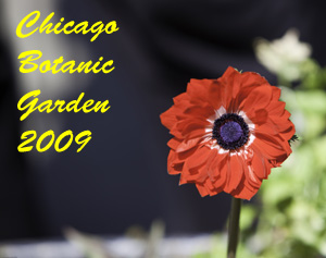 Chicago Botanic Garden 2009 Photo Slide Show