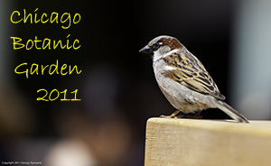 Chicago Botanic Garden 2011 Photo Slide Show