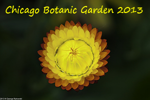 Chicago Botanic Garden 2013 Photo Slide Show