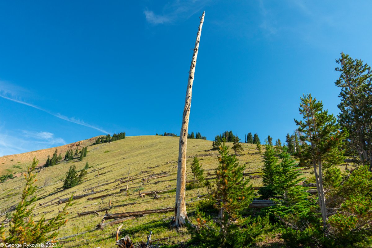 Colorado2023-3695.jpg