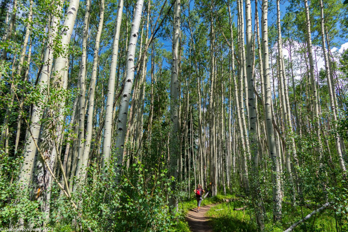 Colorado2023-3661.jpg