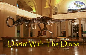 Dozin With The Dinos 2008 Photo Slide Show