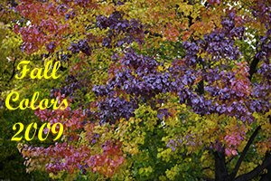 Fall Colors 2009 Photo Slide Show