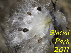 Glacial Park 2011 Photo Slide Show