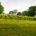 Missouri2018-0326.jpg