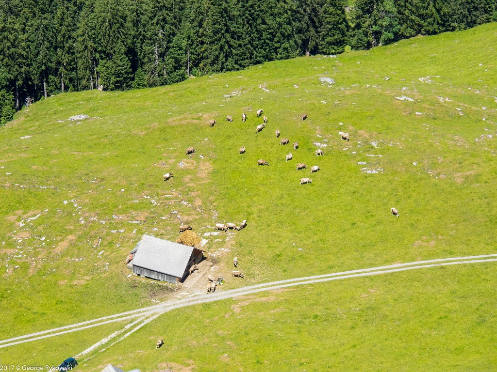 SwissVacation2017-3796