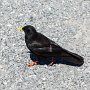 SwissVacation2017-1386.jpg