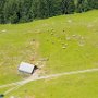 SwissVacation2017-3796.jpg