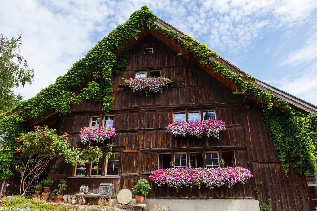 SwissVacation2017-1418