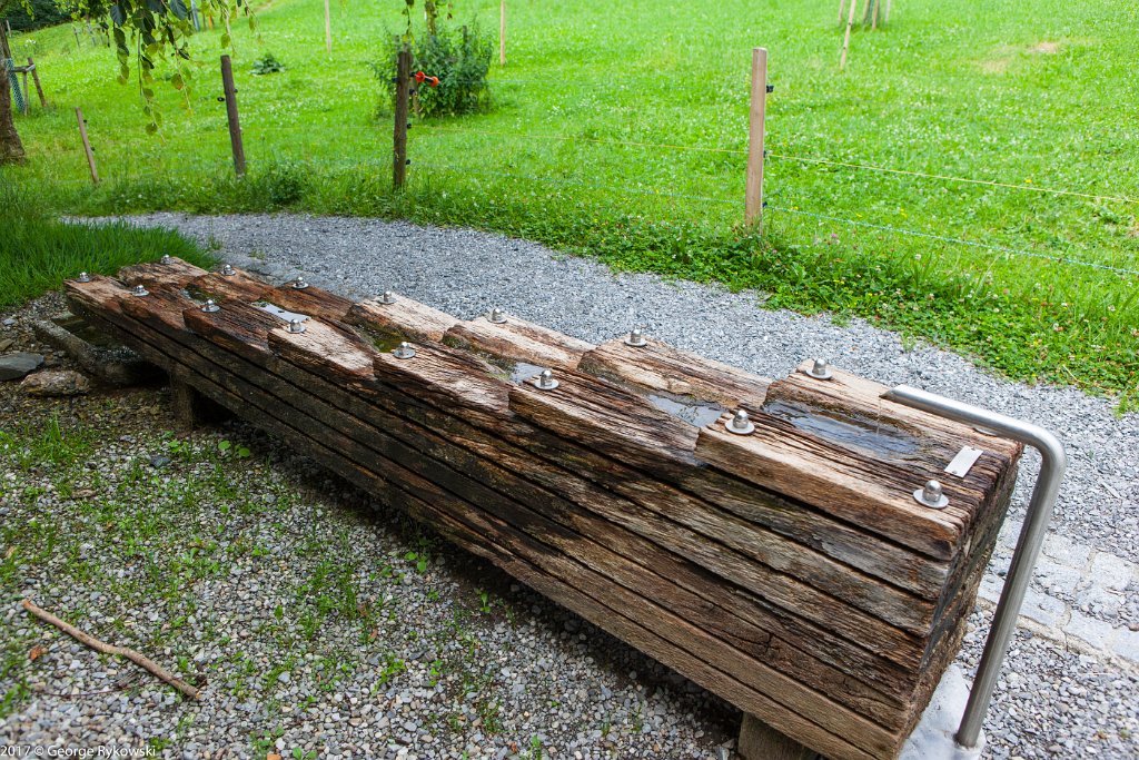 SwissVacation2017-1419