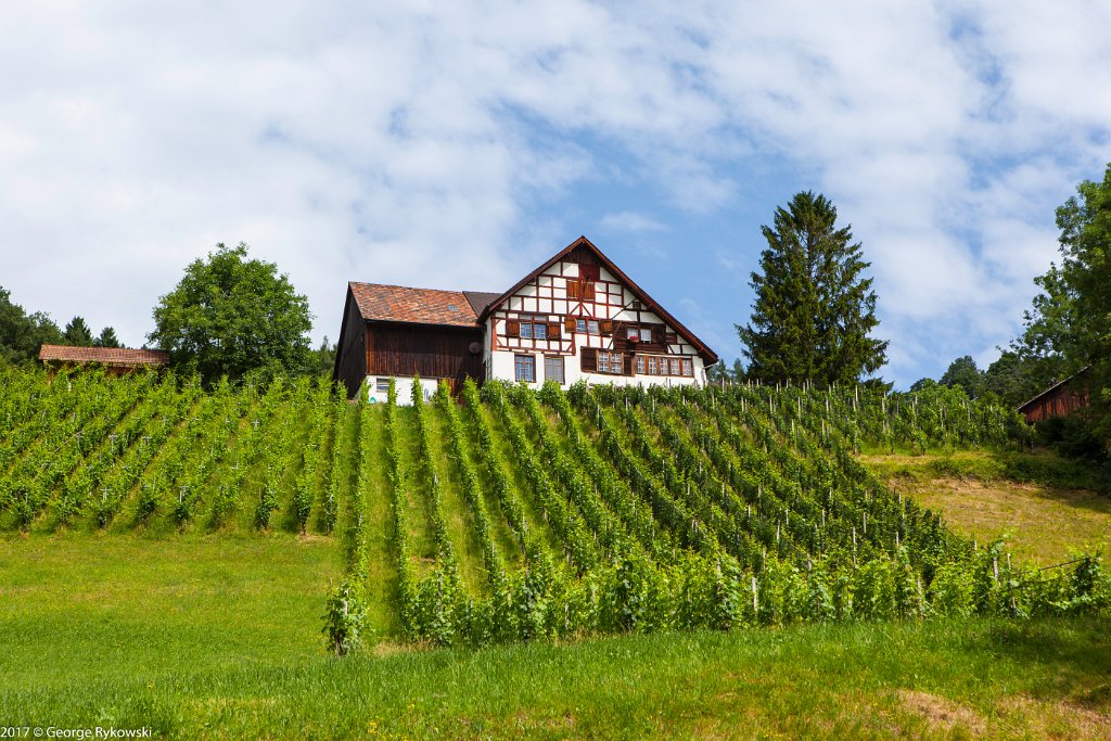SwissVacation2017-1428