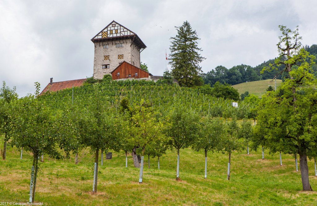 SwissVacation2017-1440