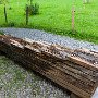 SwissVacation2017-1419.jpg