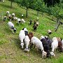 SwissVacation2017-1421.jpg