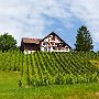 SwissVacation2017-1428.jpg
