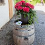SwissVacation2017-1431.jpg