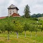SwissVacation2017-1440.jpg