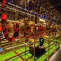 SwissVacation2017-1484.jpg