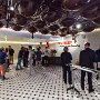 SwissVacation2017-1490.jpg