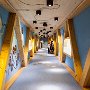 SwissVacation2017-1492.jpg