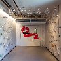 SwissVacation2017-1493.jpg