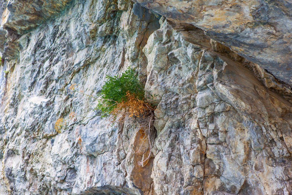 SwissVacation2017-1529