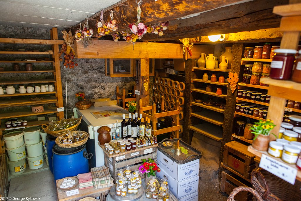 SwissVacation2017-1539