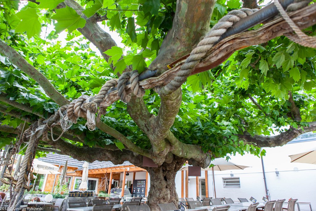 SwissVacation2017-1542