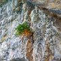 SwissVacation2017-1529.jpg