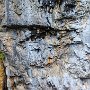 SwissVacation2017-1531.jpg
