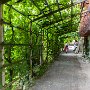SwissVacation2017-1535.jpg