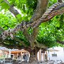 SwissVacation2017-1542.jpg