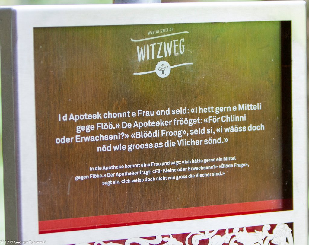 SwissVacation2017-1599