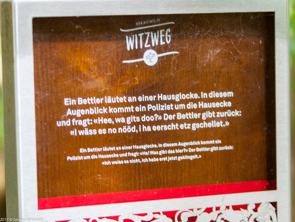 SwissVacation2017-1602