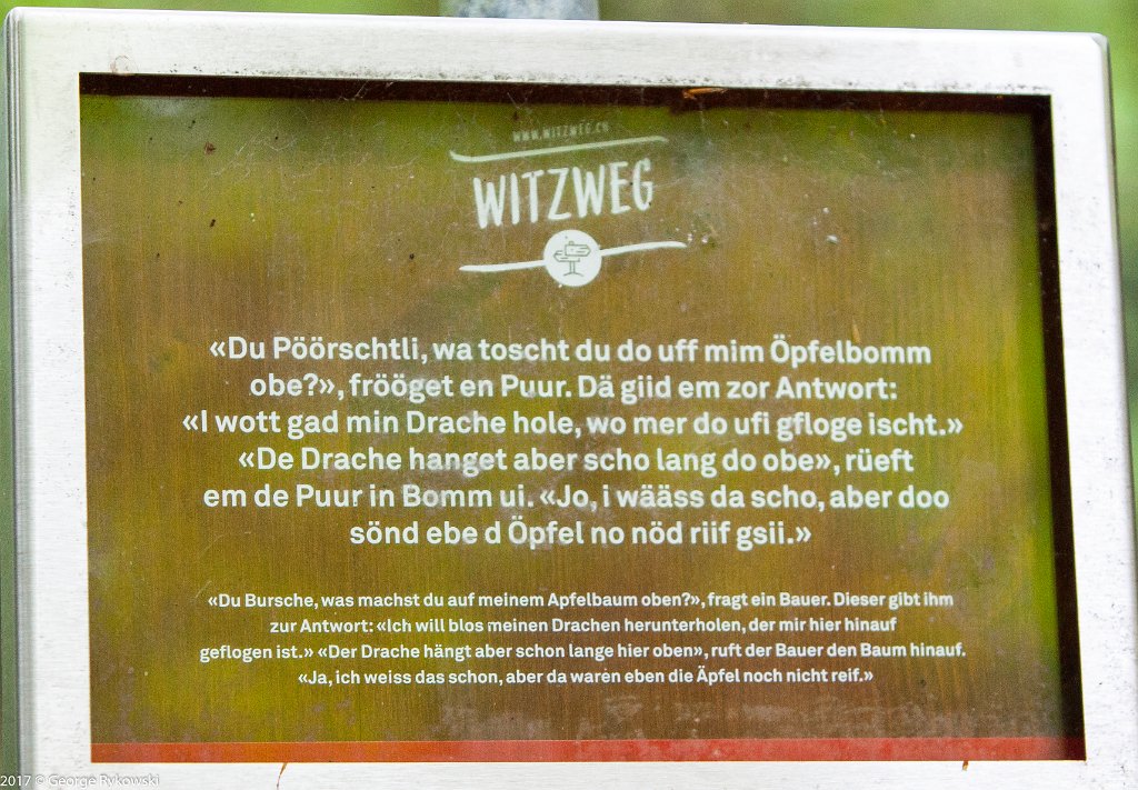 SwissVacation2017-1616