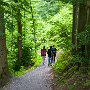 SwissVacation2017-1598.jpg