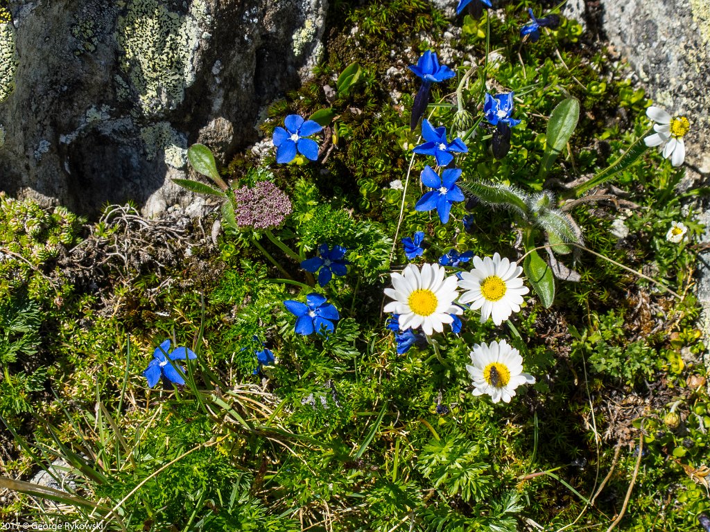 SwissVacation2017-3867