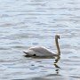 SwissVacation2017-1791.jpg