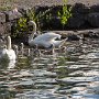 SwissVacation2017-1794.jpg