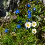 SwissVacation2017-3867.jpg