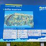 SwissVacation2017-1798.jpg