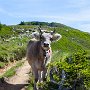 SwissVacation2017-1816.jpg