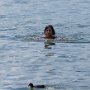 SwissVacation2017-1837.jpg