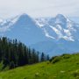 SwissVacation2017-3905.jpg
