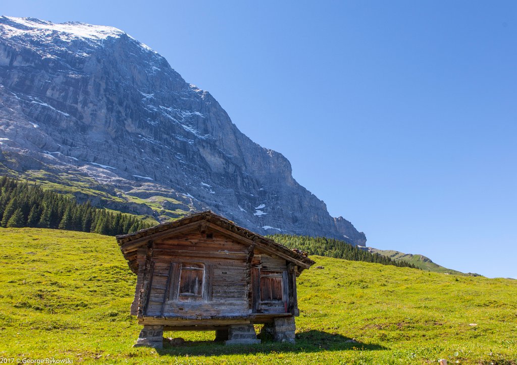 SwissVacation2017-1879