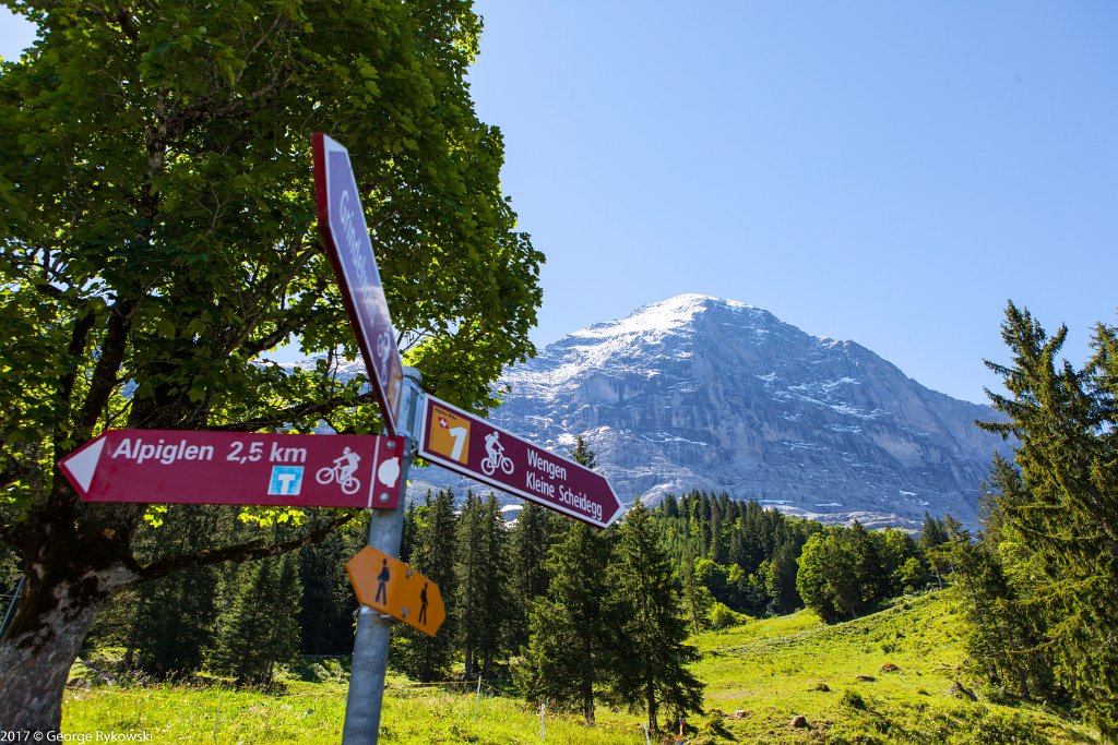 SwissVacation2017-1888