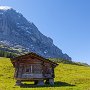 SwissVacation2017-1879.jpg