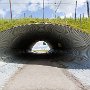 SwissVacation2017-1959.jpg