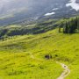 SwissVacation2017-3950.jpg